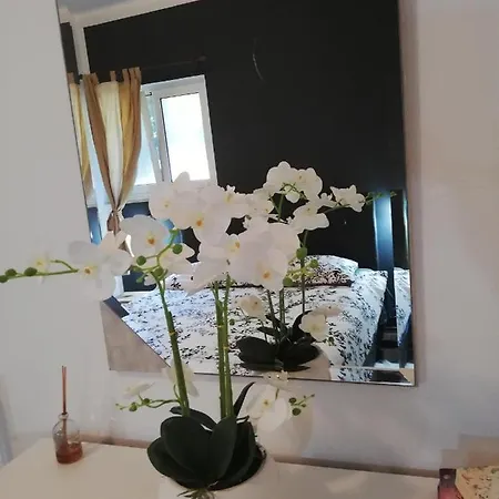 Apartments Poretti For 2,In Center Parking Free In The Yard,6 Min Beach Walk Rovinj Exteriér fotografie