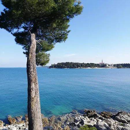Apartments Poretti For 2,In Center Parking Free In The Yard,6 Min Beach Walk Rovinj Exteriér fotografie