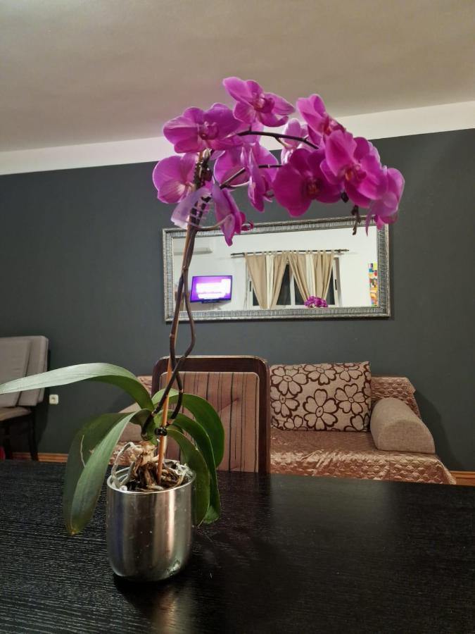 Poretti For 2,in Center Parking Free In The Yard,6 Min Walk *