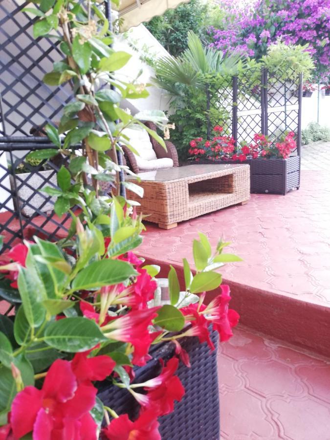 Poretti For 2,in Center Parking Free In The Yard,6 Min Walk * Rovinj