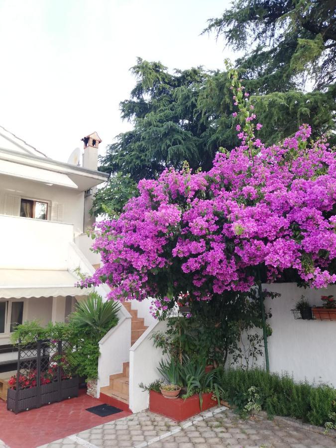 Poretti For 2,in Center Parking Free In The Yard,6 Min Walk Apartment