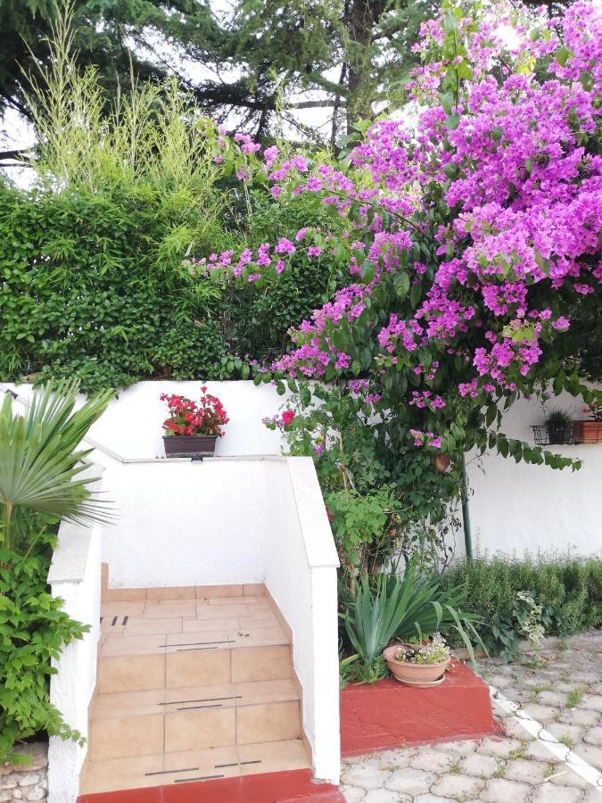Apartment Poretti For 2,in Center Parking Free In The Yard,6 Min Walk *
