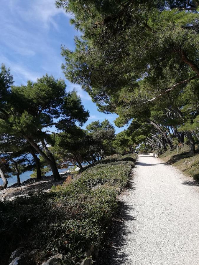 Poretti For 2,in Center Parking Free In The Yard,6 Min Walk * Rovinj