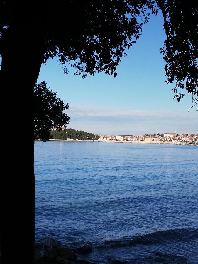 Poretti For 2,in Center Parking Free In The Yard,6 Min Walk Apartment Rovinj