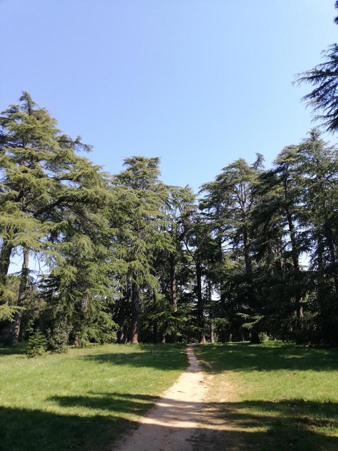 Apartment Poretti For 2,in Center Parking Free In The Yard,6 Min Walk