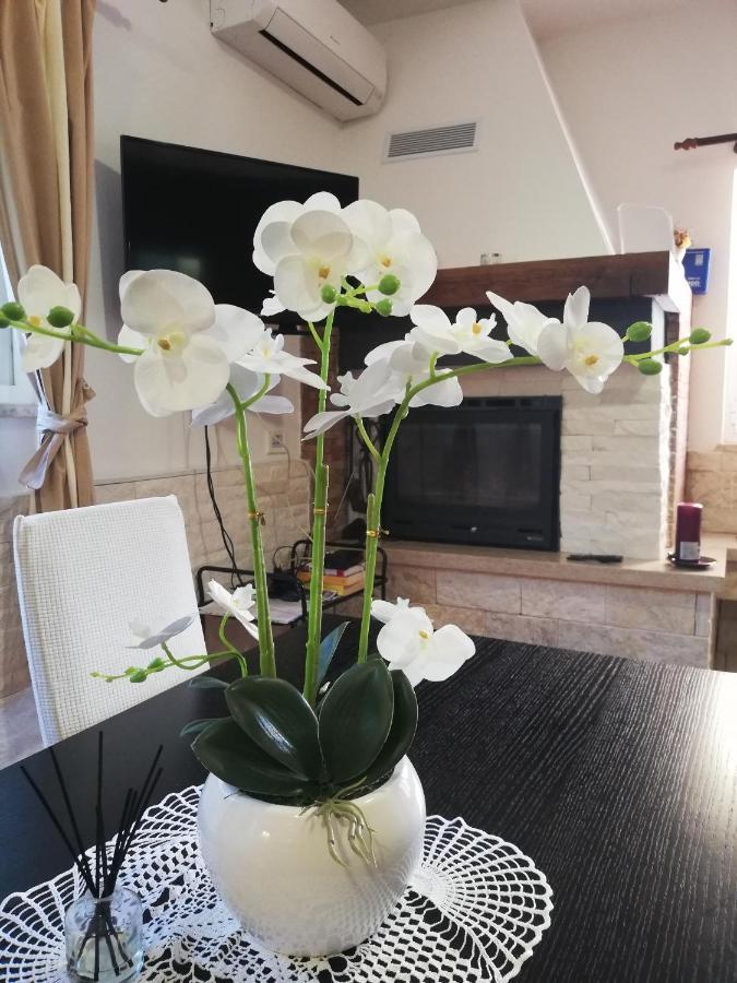Apartment Poretti For 2,in Center Parking Free In The Yard,6 Min Walk *