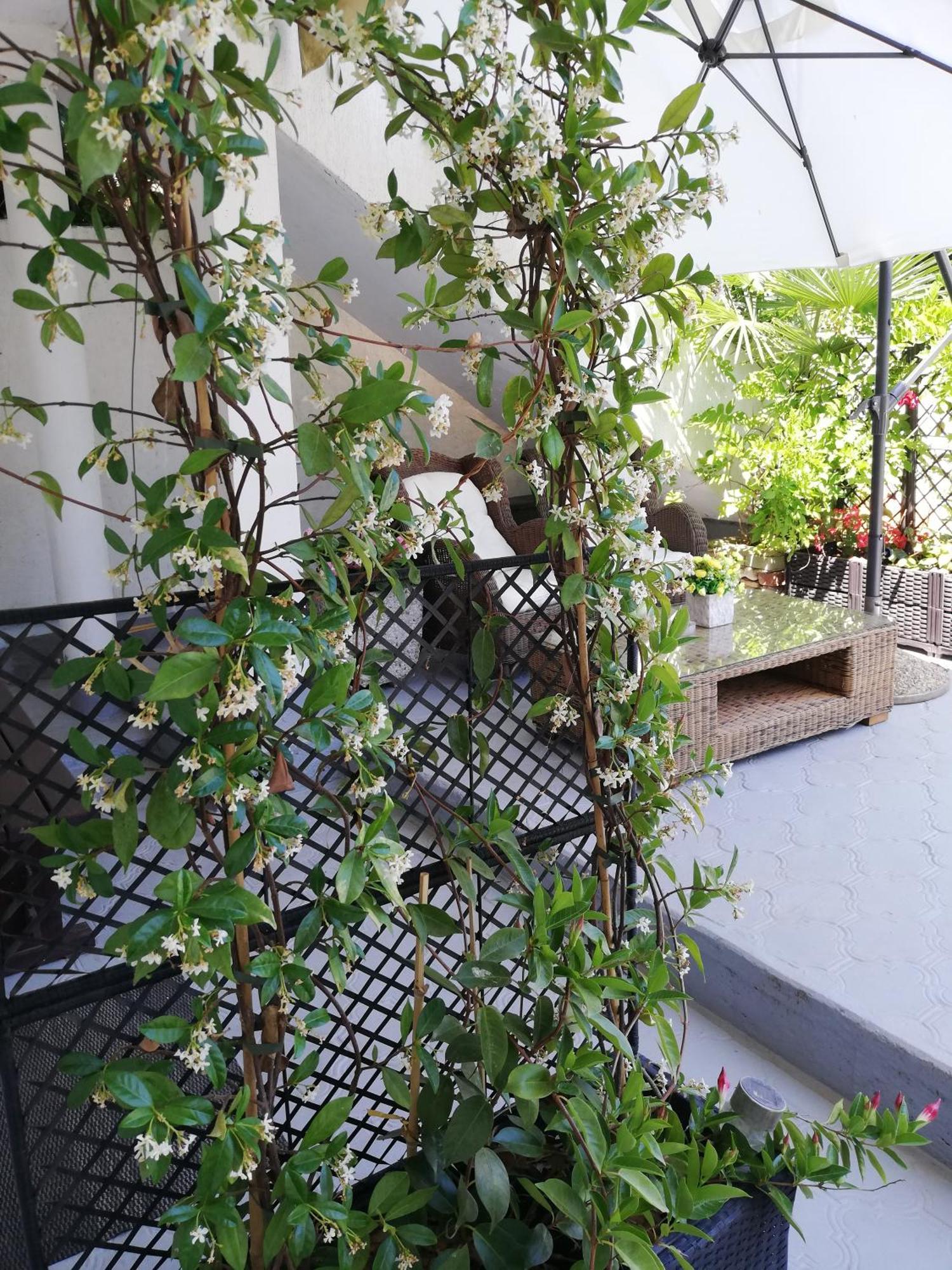 Poretti For 2,in Center Parking Free In The Yard,6 Min Walk Apartment *