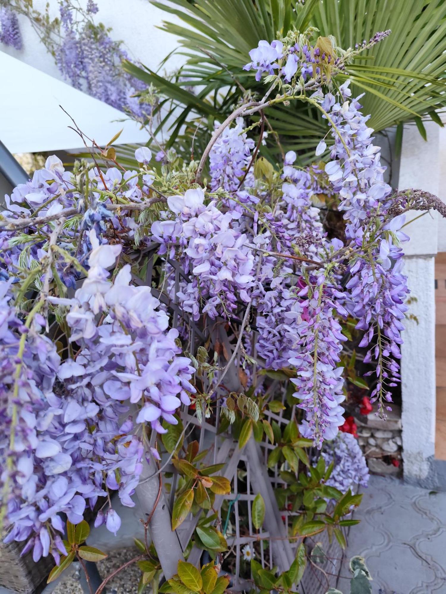 Poretti For 2,in Center Parking Free In The Yard,6 Min Walk * Rovinj